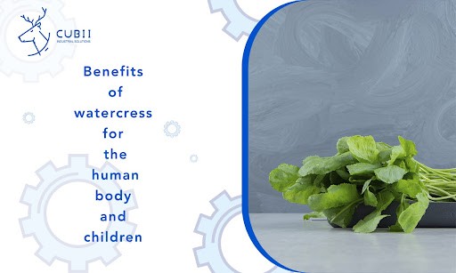 Watercress juice outlet benefits