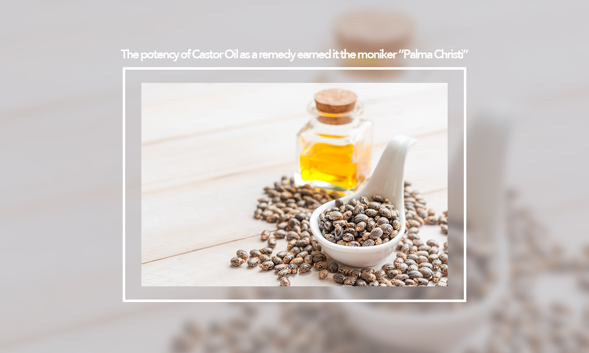The potency of Castor Oil as a remedy earned it the moniker “Palma Christi”  - CUBII