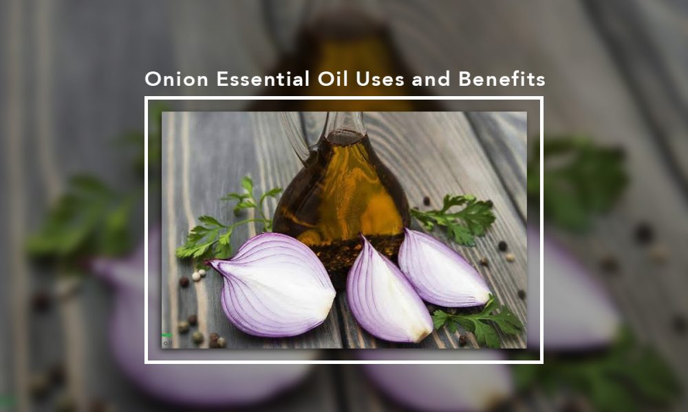 Onion Essential Oil Uses and Benefits CUBII